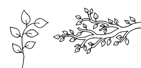 Ветка дерева раскраска для детей