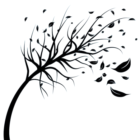 Ветка силуэт