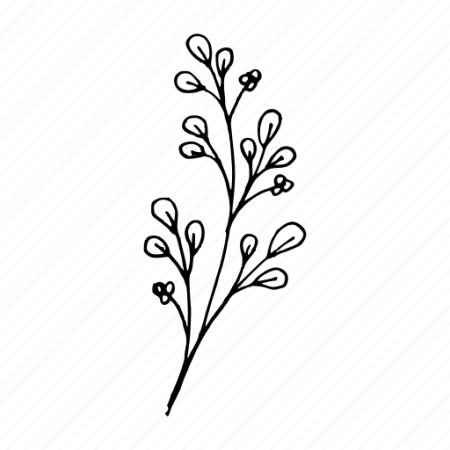 Контур веточка с цветочками