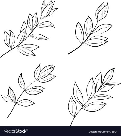 Веточка с листочками раскраска