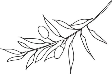 Оливковая веточка