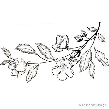 Ветка карандашом