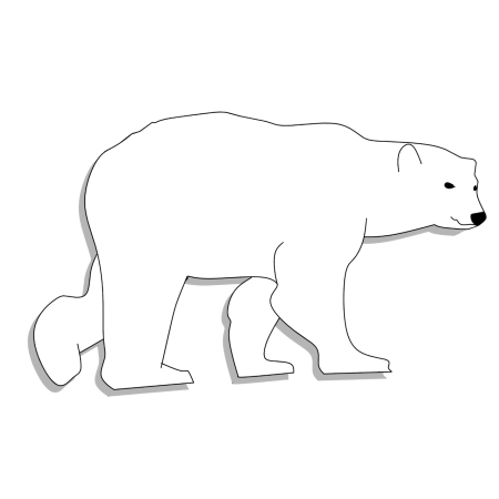 Медведь раскраска
