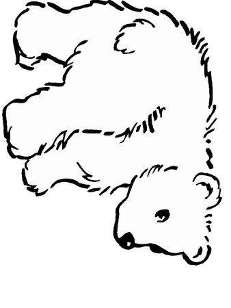 Медведь раскраска