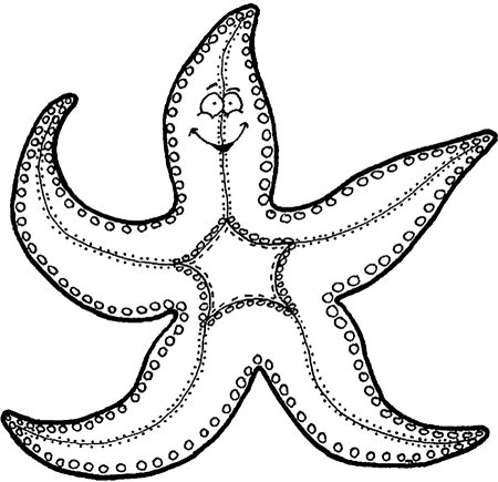 Морская звезда раскраска