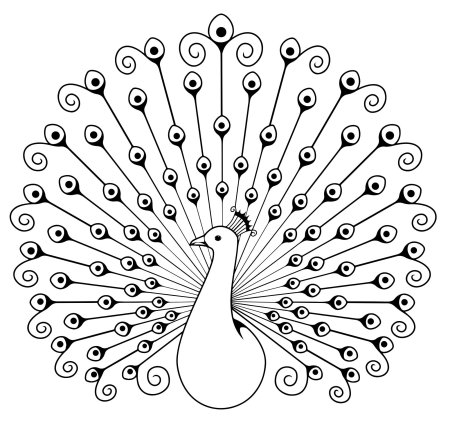 Рисунок павлина