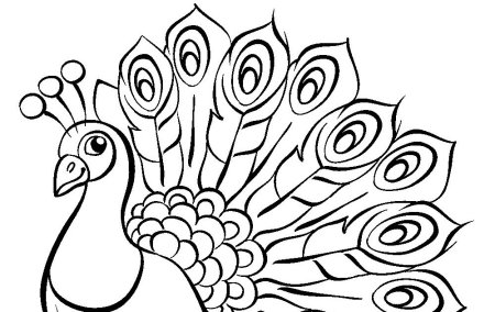 Павлин раскраска для детей