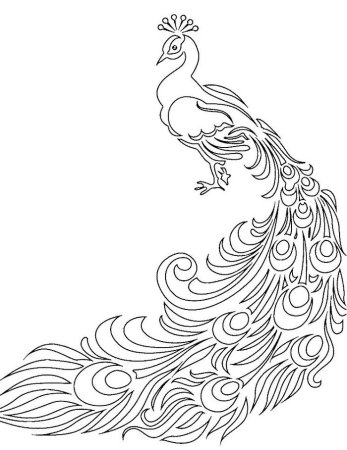 Жар птица раскраска для детей