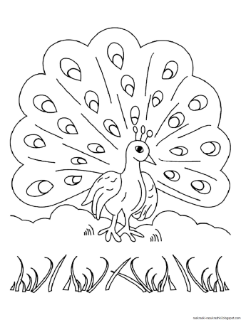 Павлин раскраска для детей