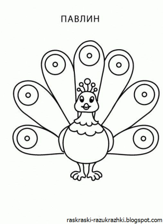 Павлин раскраска для детей