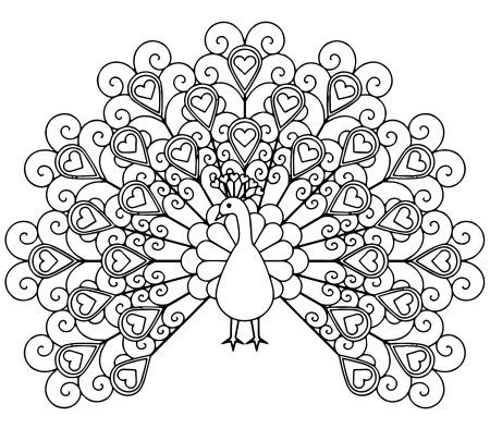 Павлин. Раскраска