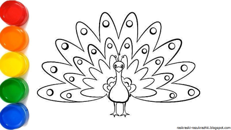 Павлин раскраска для детей