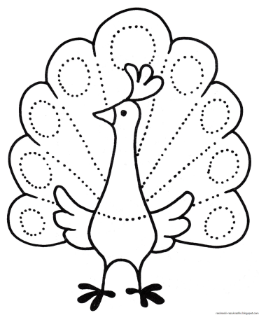 Павлин раскраска для детей