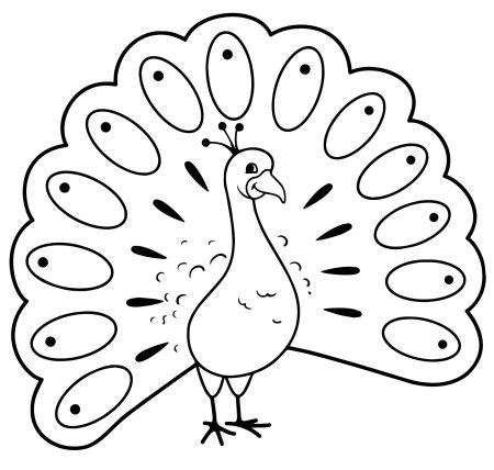 Павлин рисунок