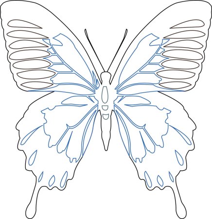 Шаблон бабочки