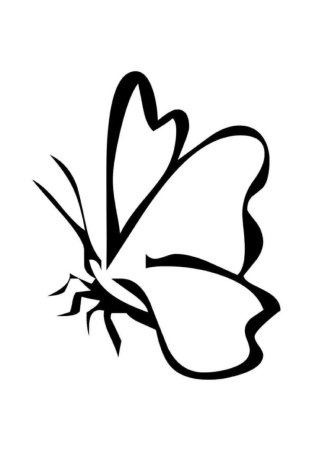 Трафарет бабочки на прозрачном фоне