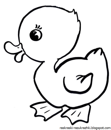 Раскраски цыплятки