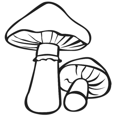 Гриб контур