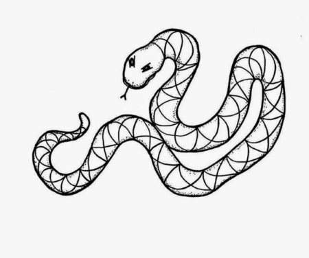 Змея эскиз для выжигания