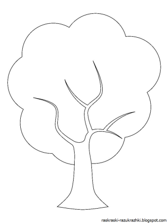 Тополь раскраска