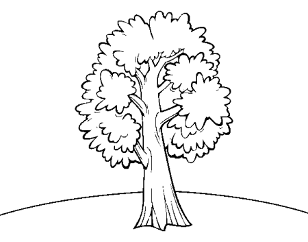 Дерево контур для вырезания