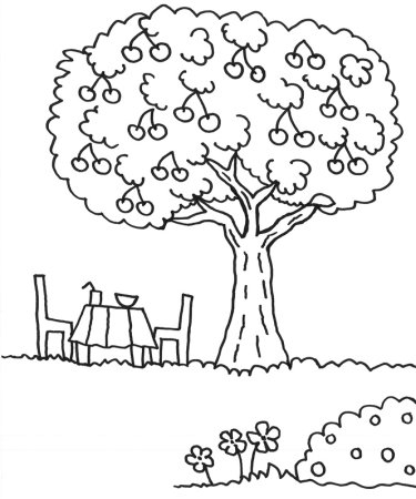 Раскраска дерево без листьев