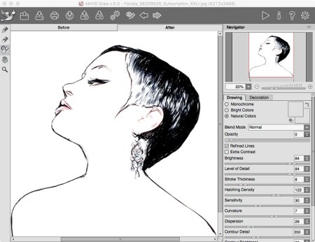 Портрет по трафарету