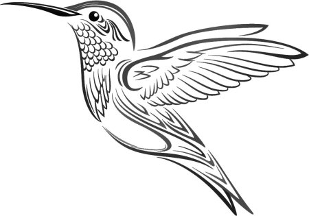 Колибри черно белая