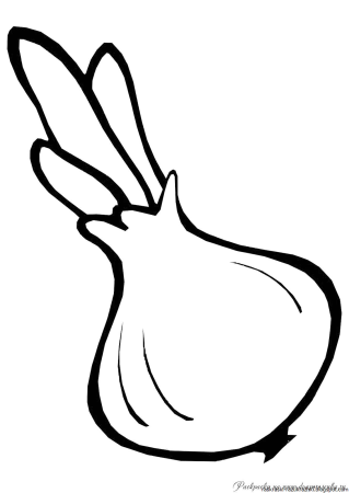 Фрукты для раскрашивания