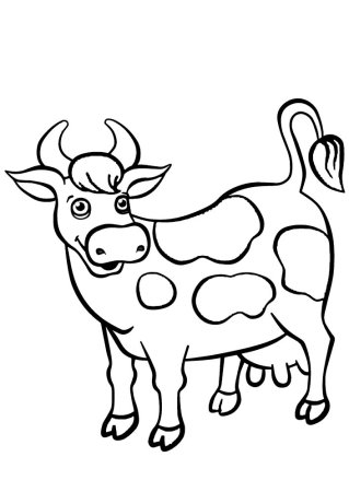 Корова контурный рисунок для детей (45 фото)