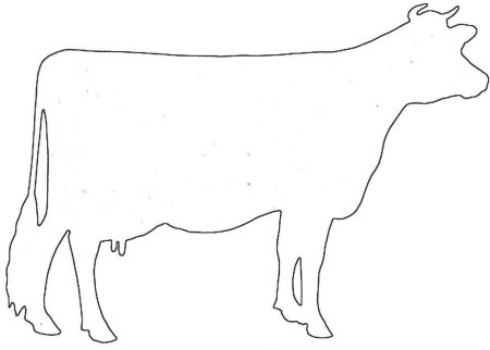 Контуры домашних животных