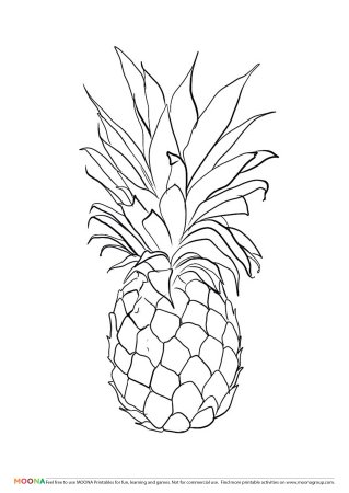 Ананас раскраска для детей