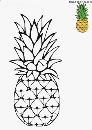 Ананас раскраска