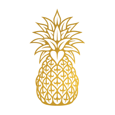 Ананас эскиз