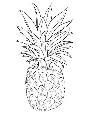 Ананас схематично