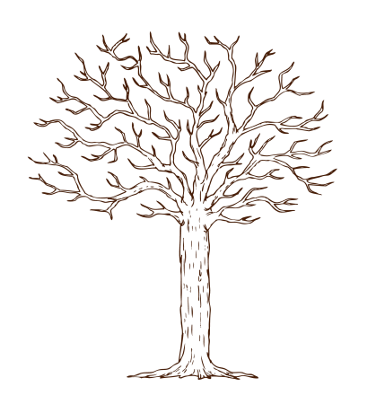 Дерево раскраска