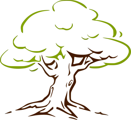 Красивый силует дерева