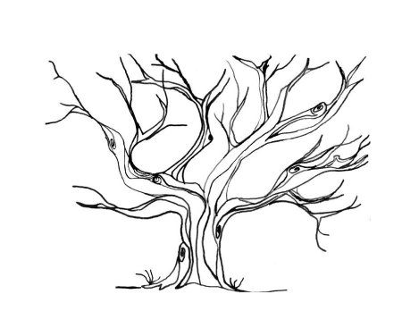 Дерево дуб раскраска