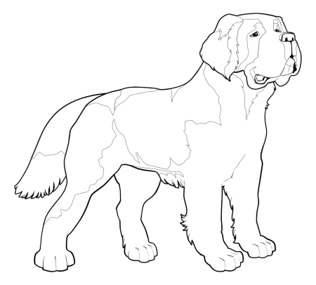 Раскраска собаки породы алабай