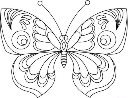 Бабочка раскраска для детей