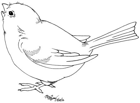 Воробей раскраска для детей