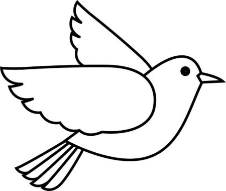 Контур птицы для детей