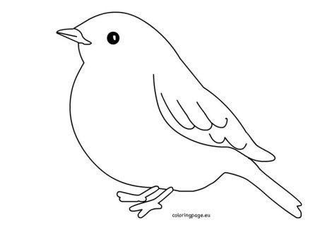 Трафареты птицы для малышей