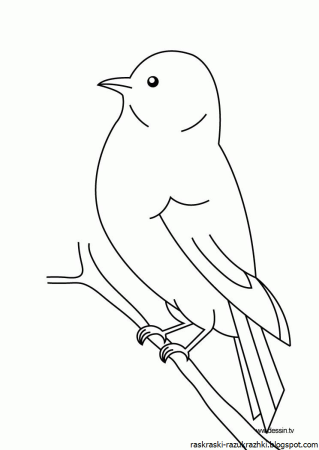 Трафарет птицы для рисования детям