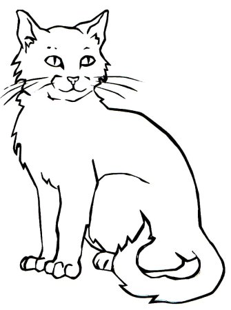 Раскраска кот
