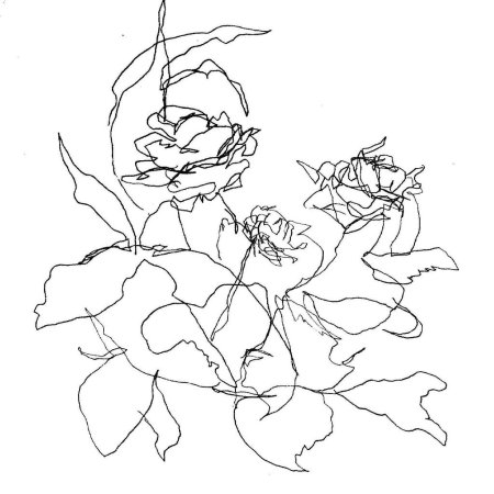 Контурные изображения