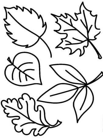 Осенний листопад раскраска для детей