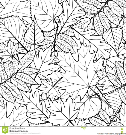Листья раскраска