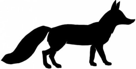 Тени животных лиса