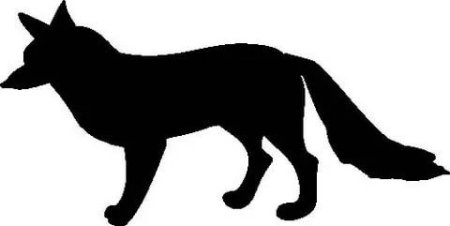 Теневой театр лиса